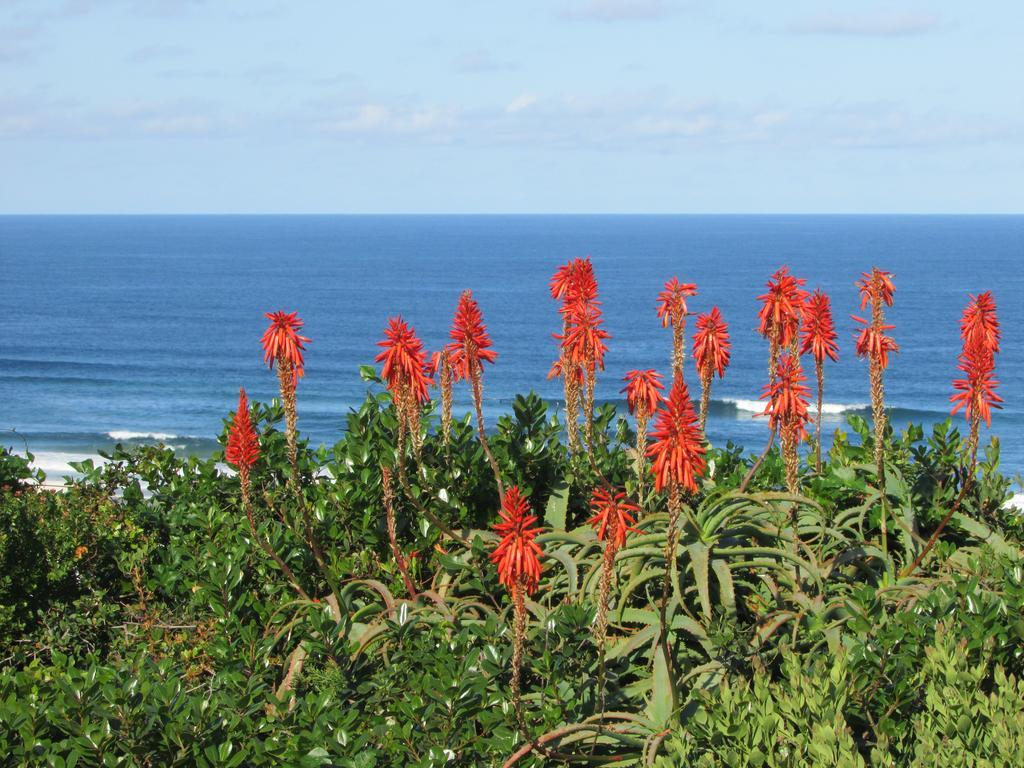 Melkhoutkloof Guest House Outeniqua Strand Екстериор снимка